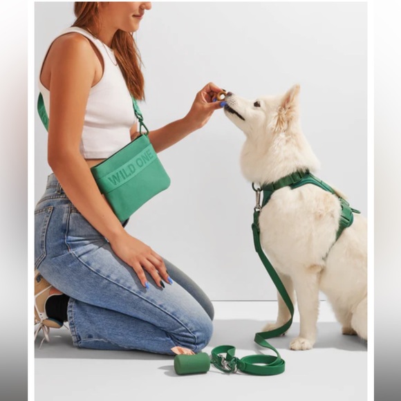 Wild One Dog Treat Pouch Spruce - Picture 5 of 10